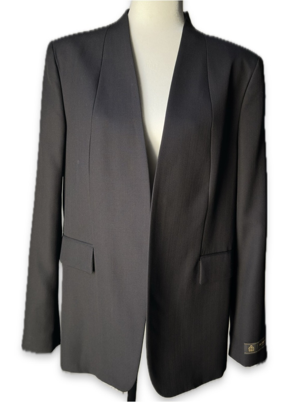 Aritzia Babaton Identity Blazer